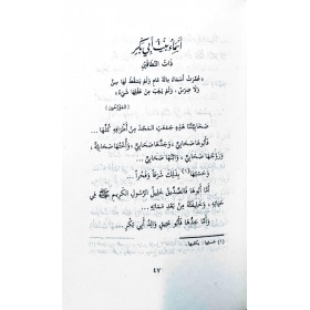 SUVER MİN HAYATİS SAHABİYYAT - صور من حياة الصحابيات