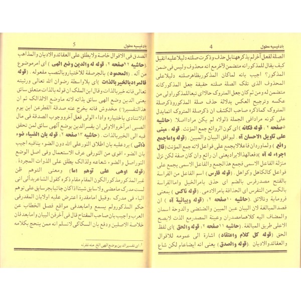 el Haşiyetul Badigisiyye- الحاشية البادغسية -