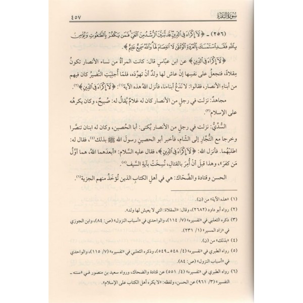 Lübabüt Tefasir - Dar'ül Lübabلباب التفاسير