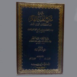 Şerhu Şerhi Nuhbetül Fikr- شرح شرح نخبة الفكر