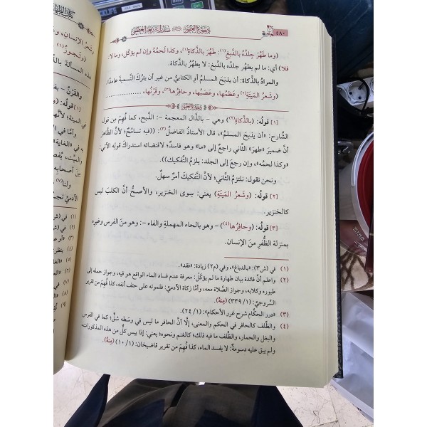 Zahîretü’l-Ukbâ fî Şerhi Sadrı’ş-Şerî‘ati’l-‘Uzmâ-ذخيرة العقبى في شرح صدر الشريعة العظمى