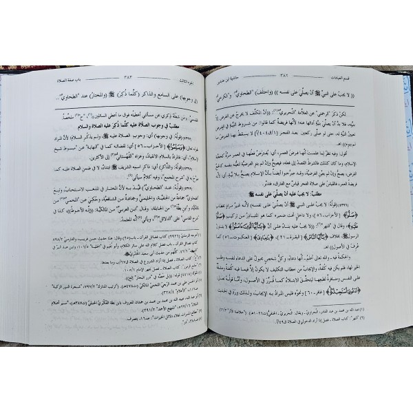 haşiyetü ibni abidin حاشية ابن عابدين مع فتح الغفار