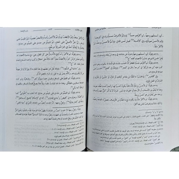 haşiyetü ibni abidin حاشية ابن عابدين مع فتح الغفار